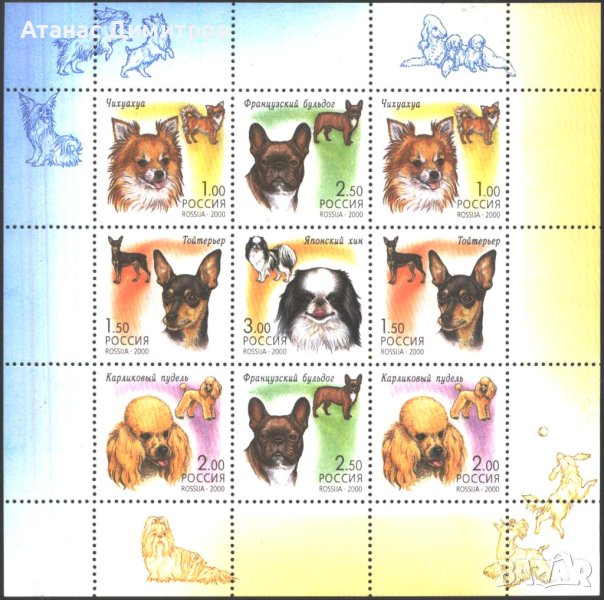 Чисти марки в малък лист Фауна Кучета 2000 от Русия, снимка 1