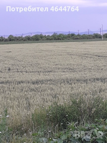 Продава имот гр. Поморие, м. Изравнителя, снимка 3 - Парцели - 52400440