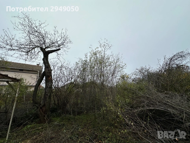 Почистване на дворове и всякакъв вид парцели, снимка 13 - Други услуги - 54068795