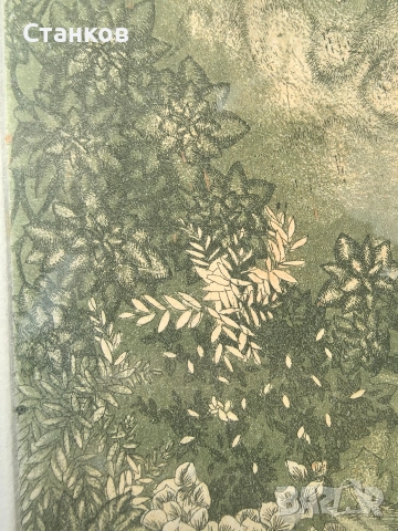 Хармонично, Яна Антонова , снимка 7 - Антикварни и старинни предмети - 52973123