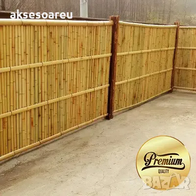 Качествени семена от бамбук Moso Bambo декоративни растения за дома бамбуков разсад за украса декор, снимка 6 - Сортови семена и луковици - 48995203