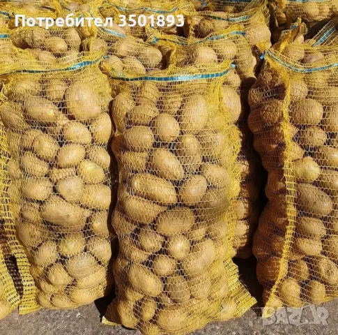 Картофи от сърцето на Родопите , снимка 3 - Други услуги - 56546985