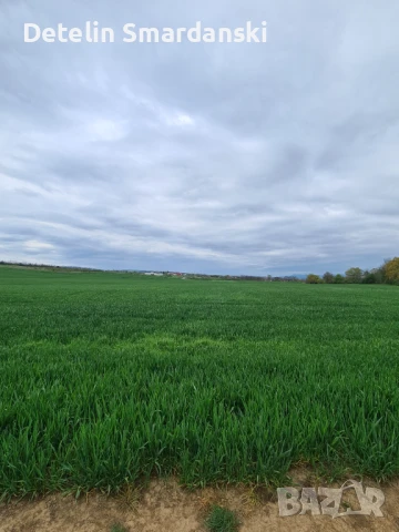 Поземлен земеделски имот , снимка 3 - Земеделска земя - 50649780