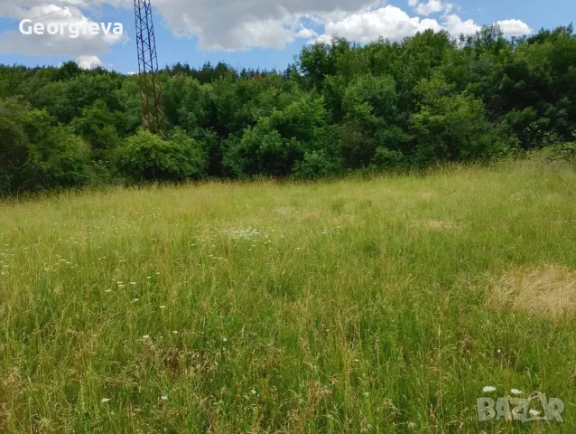 Парцел в с. Елхово общ. Николаево, снимка 2 - Парцели - 55780029