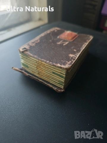 Албум със снимки 1948-1961г. Варна, снимка 7 - Антикварни и старинни предмети - 53102025