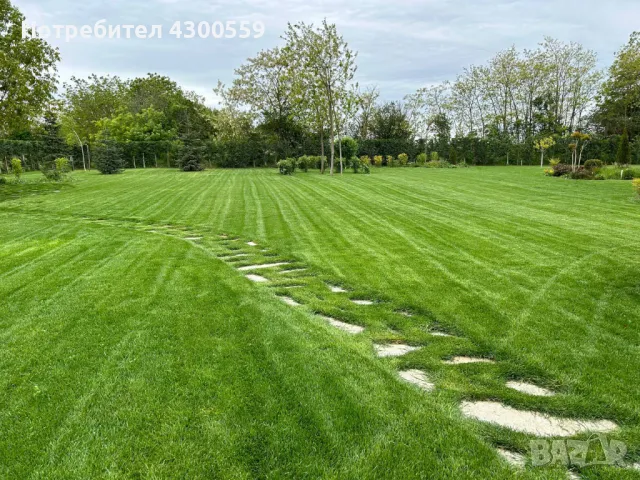 Всякакви градинарски услуги - Варна и областта, снимка 2 - Други услуги - 48232407