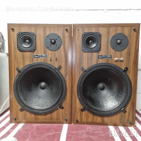 Американски Тонколони Boznak SL-250A, снимка 2 - Тонколони - 48761806