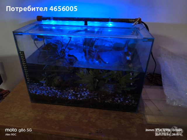 Оборудван аквариум, снимка 1