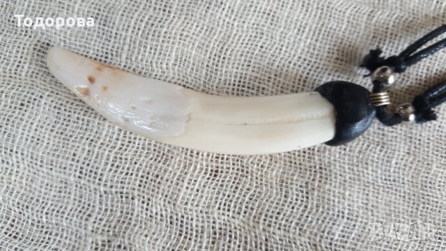 Колие 1 от естествен зъб на морски бозайник, снимка 4 - Антикварни и старинни предмети - 30209181