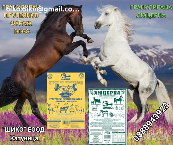 Гранулиран протеинов фураж DDGS, снимка 3 - Коне - 51875593