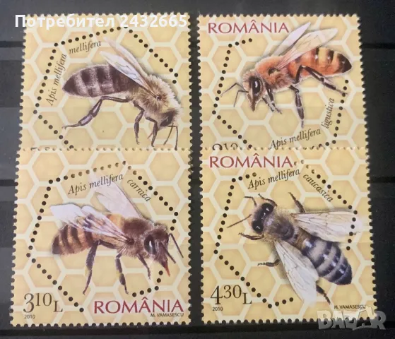 2373. Румъния 2010 = “ Фауна. Медоносни пчели. “ , **, MNH, снимка 1