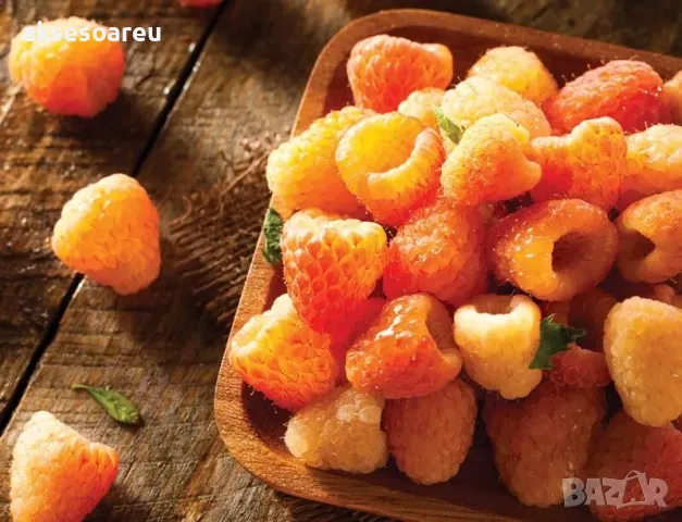 20 качествени Семена от Британска Есенна Златна Малина Златни наситени Сладки Малини плодове 