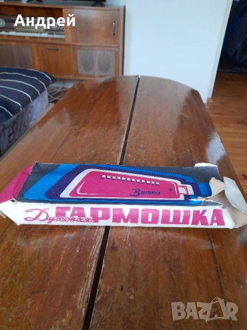 Стар Детски музикален инструмент Вятка 