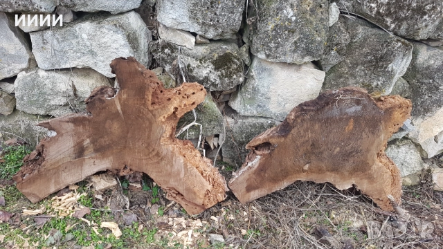 Шайби от орех, снимка 5 - Декорация за дома - 52158289