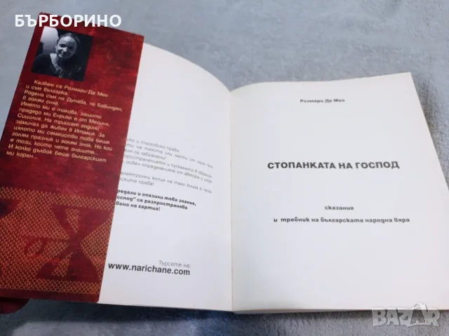 Розмари де Мео - Стопанката на Господ  336 стр, снимка 4 - Художествена литература - 55957381