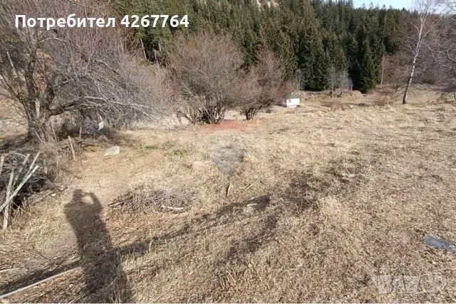 Поземлен имот в Езерово, снимка 13 - Парцели - 50132572