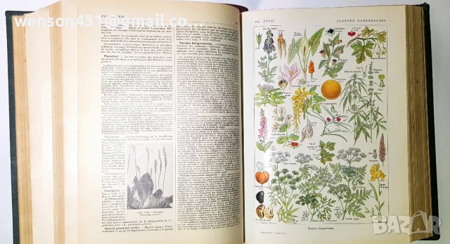 LAROUSSE MEDICAL ILLUSTRE, снимка 5 - Специализирана литература - 51321477