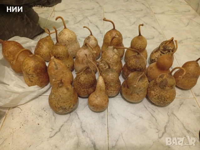 Продавам кратунки , снимка 2 - Други - 53924464