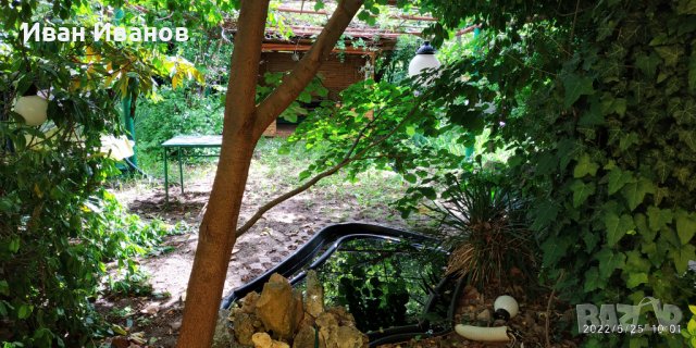 Стаи под наем - вила градина "Рина" - Варна - Златни пясъци, снимка 16 - Квартири, нощувки - 36865321