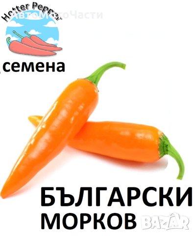 Семена за екзотични люти чушки, снимка 3 - Сортови семена и луковици - 44274579