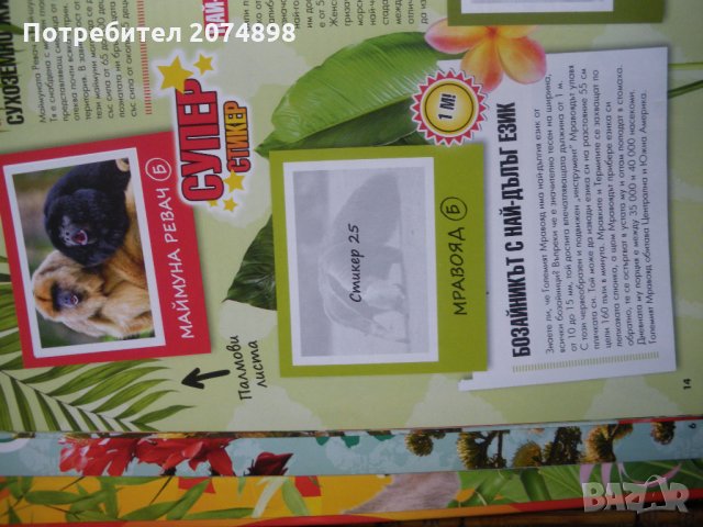 Албум на Била със стикери към него , снимка 3 - Колекции - 30685137