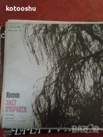 Ретро грамофонни плочи, снимка 4 - Грамофонни плочи - 51263656