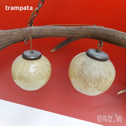 НАЙ ДОБРАТА ОФЕРТА Полюлей от Еленов рог / рога , снимка 3 - Други ценни предмети - 54160208