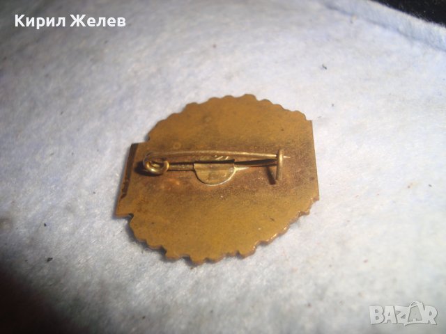 FESTIVALUL NATIONAL CINTAREA ROMANIEI СТАРА РЯДКА БРОНЗОВА ЕМАЙЛИРАНА ЗНАЧКА - РУМЪНИЯ , снимка 7 - Колекции - 36771662