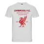 Шампионски тениски LIVERPOOL / ЛИВЪРПУЛ 2024-2025! Поръчай модел с ТВОЯ идея!, снимка 2