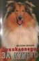 Веселин Денков - Енциклопедия за кучето (1998), снимка 1 - Енциклопедии, справочници - 30189154