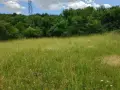 Парцел в с. Елхово общ. Николаево, снимка 2