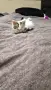 Момиченце търси дом, снимка 7
