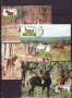 Ангола 1990 - 4 броя Карти Максимум - WWF, снимка 1 - Филателия - 38788682