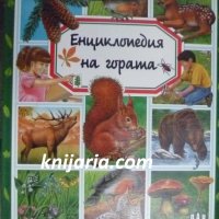 Енциклопедия на гората, снимка 1 - Детски книжки - 40227566