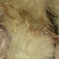 Дамска шуба с пух Loft Намаление , снимка 3 - Якета - 44556296