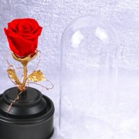 Неувяхваща роза в стъкленица , снимка 2 - Декорация за дома - 44494079