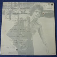 Billy Joel - Greatest hits Vol.I & Vol.II /2LP./, снимка 2 - Грамофонни плочи - 40833586
