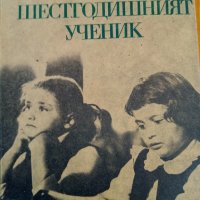 Шестгодишният ученик - Петър Николов, Цветан Асенов, снимка 1 - Художествена литература - 30070099