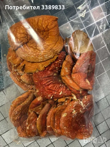 Червена Мухоморка, снимка 1