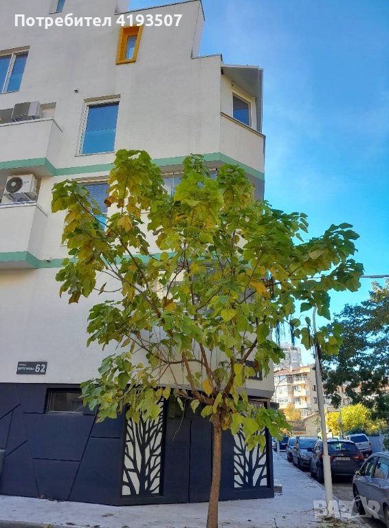 2-стаен, снимка 1