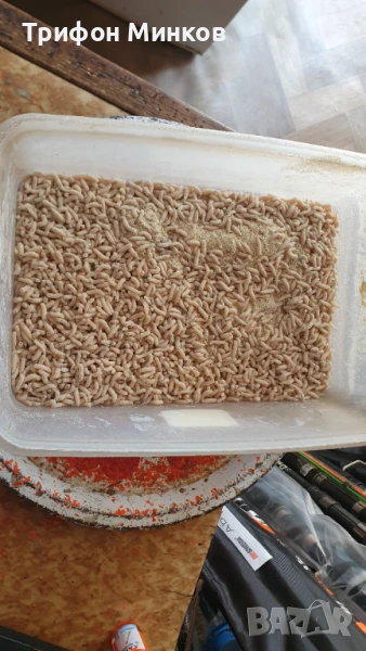 Бял червей, снимка 1