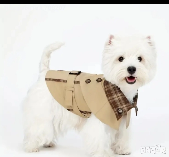 Дрехи за мини порода куче, снимка 1