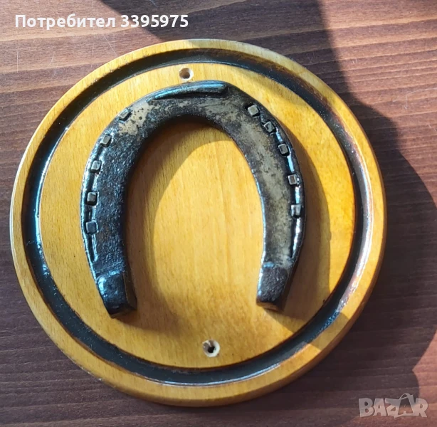 Истинска антик стара подкова е разкопана в село Боженци, снимка 1