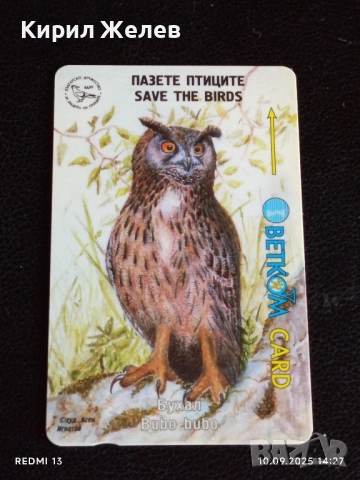 Три фонокарти тема ЖИВОТНИ ТАРАЛЕЖ, БУХАЛ,ЖАБА за КОЛЕКЦИЯ 42295, снимка 9 - Колекции - 51666463