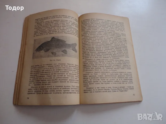 Книга Риболов с въдица Николай Цанков , снимка 8 - Специализирана литература - 56241327