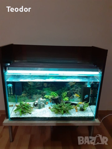 Аквариум 100 литра