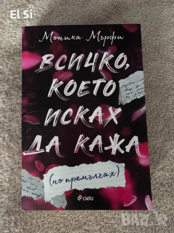 Всичко, което исках да кажа (но премълчах), Моника Мърфи 