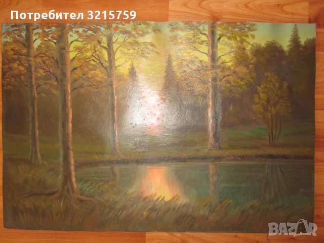 Картина -масло в/у картон, пейзаж ,60х40см., снимка 8 - Картини - 35262606
