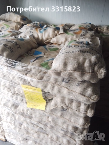 Семена картофи за посев клас А- произход Европлант , Германия 