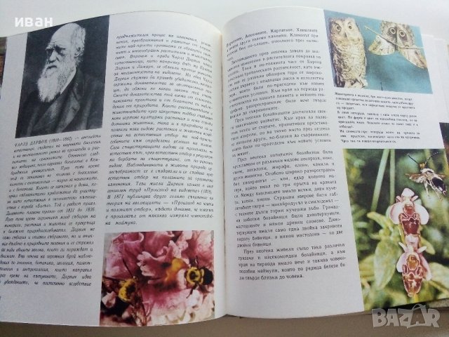 Картинна енциклопедия за юноши "Светът около нас - Книга 1"- 1970г., снимка 5 - Енциклопедии, справочници - 42277573